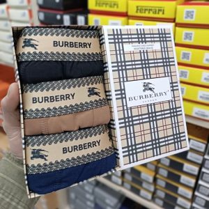 Burberry Underwear Pack 3